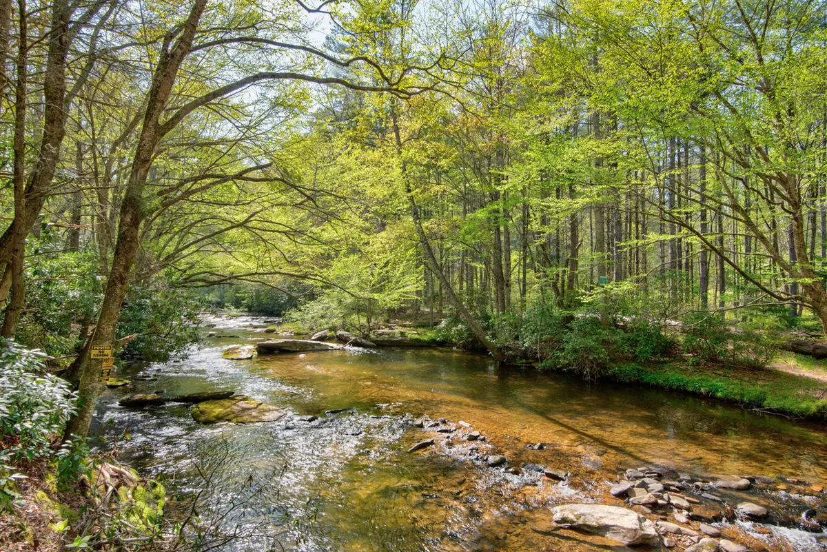 A scenic, wide-angle view of the river surrounded by lush greenery, rocks, and mature trees. The water shimmers with sunset reflections, and the landscape hints at morning mists and potential wildlife sightings, reinforcing the sense of untouched natural beauty.