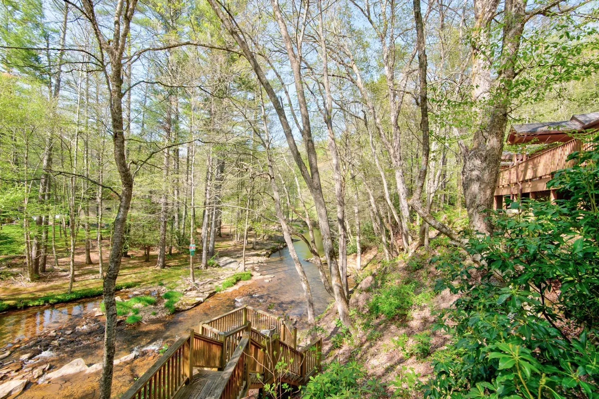 A peaceful scene featuring a wooden deck above a gentle stream, dense with surrounding trees and a house set on a picturesque hillside. The vantage point invites exploration and suggests easy access to nature walks and wildlife viewing right from the home.