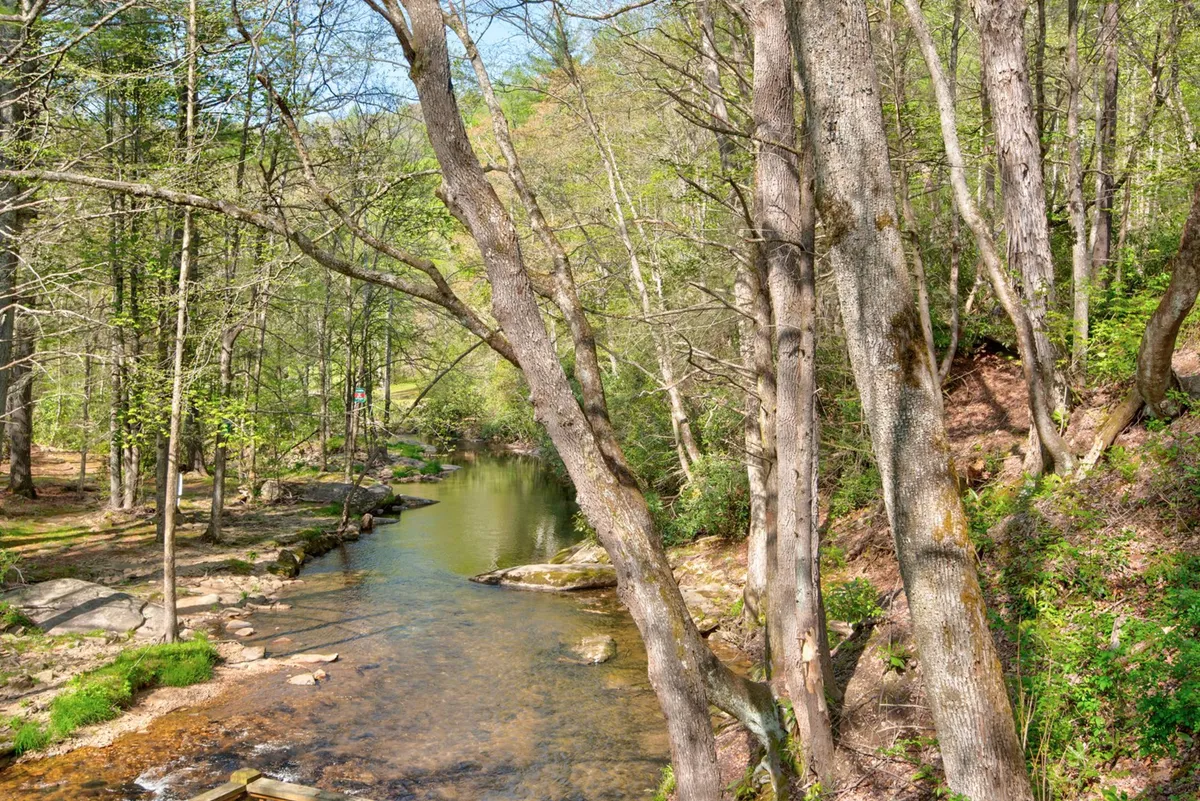 A tranquil scene of the Boone Fork of the Watauga River, bordered by lush trees and a rocky bank. The river’s clear waters meander through the landscape, providing an ideal setting for fishing, relaxing, and observing wildlife. Soft evening light gently illuminates the area, creating a peaceful atmosphere.